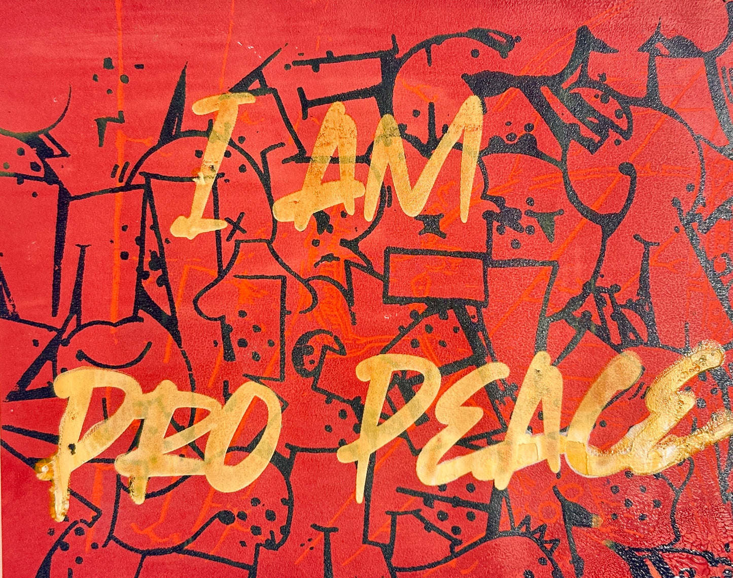 I Am Pro Peace