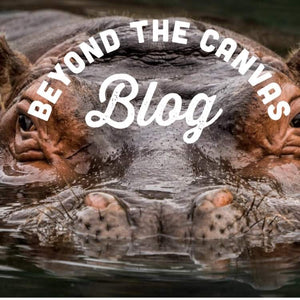 Hippos and sundry